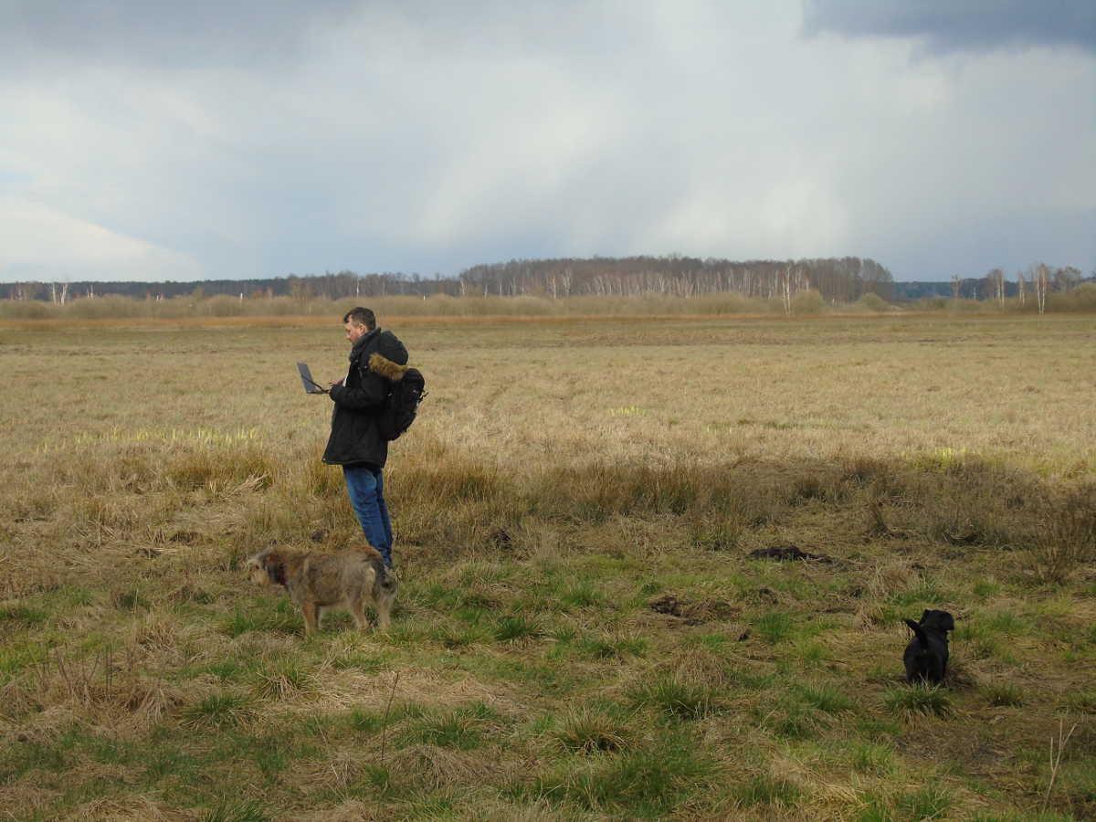 A person standing on a wetland meadow holding a laptop, surrounded by two dogs